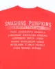 Vintage Smashing Pumpkins 2007 Tour T-shirt - M sold by Rokit