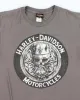 Vintage 00s Harley Davidson Graphic T-shirt - L sold by Rokit