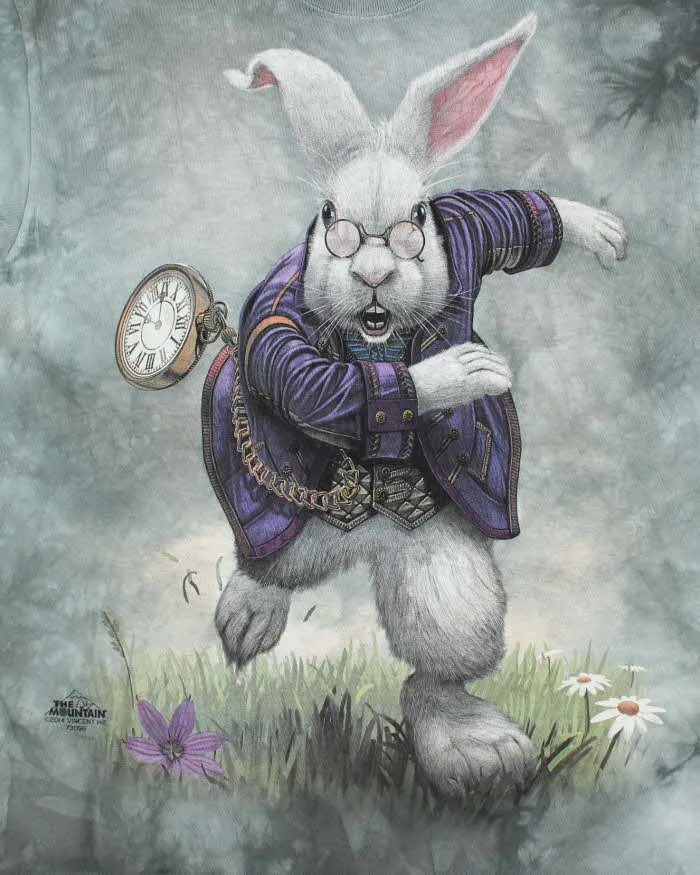 Vintage 2000's The Mountain Mad Hatter Graphic T-Shirt - M sold by Rokit product image thumbnail 3