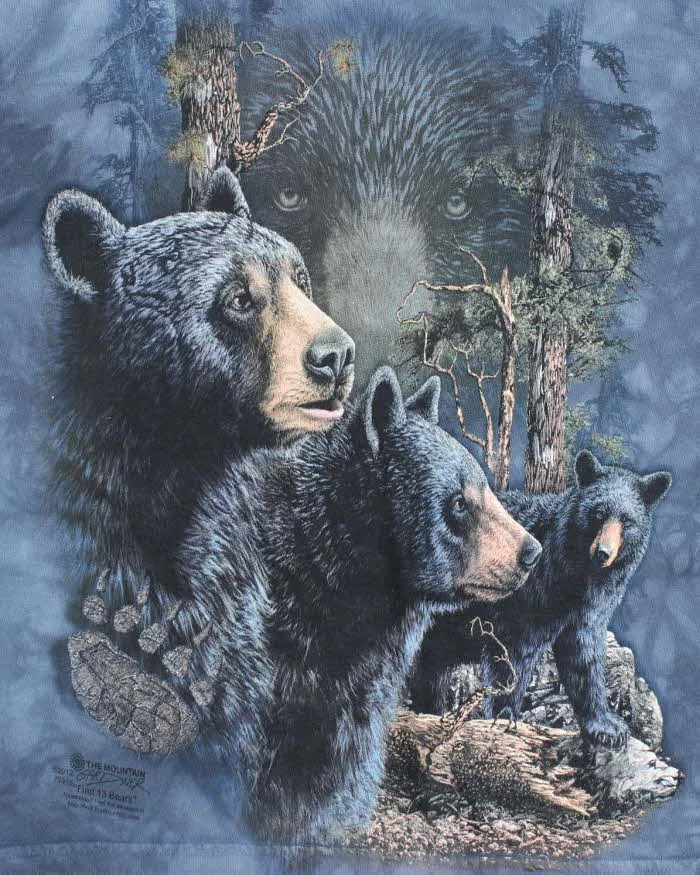 Vintage 2000's The Mountain Bear Graphic T-Shirt - S sold by Rokit product image thumbnail 3