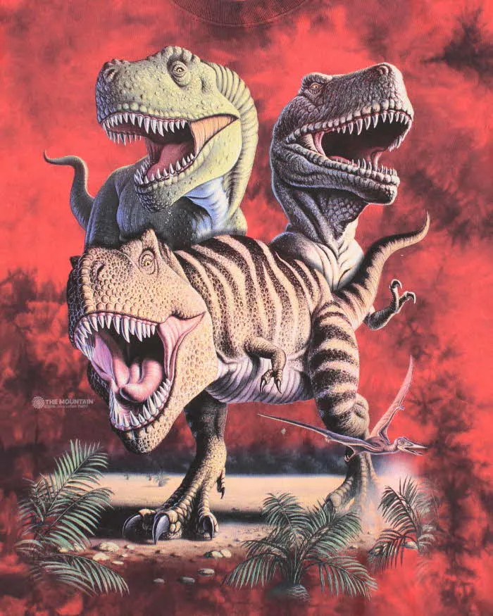 The Mountain Red Tie-Dye Dinosaur Graphic T-Shirt - XL sold by Rokit product image thumbnail 3