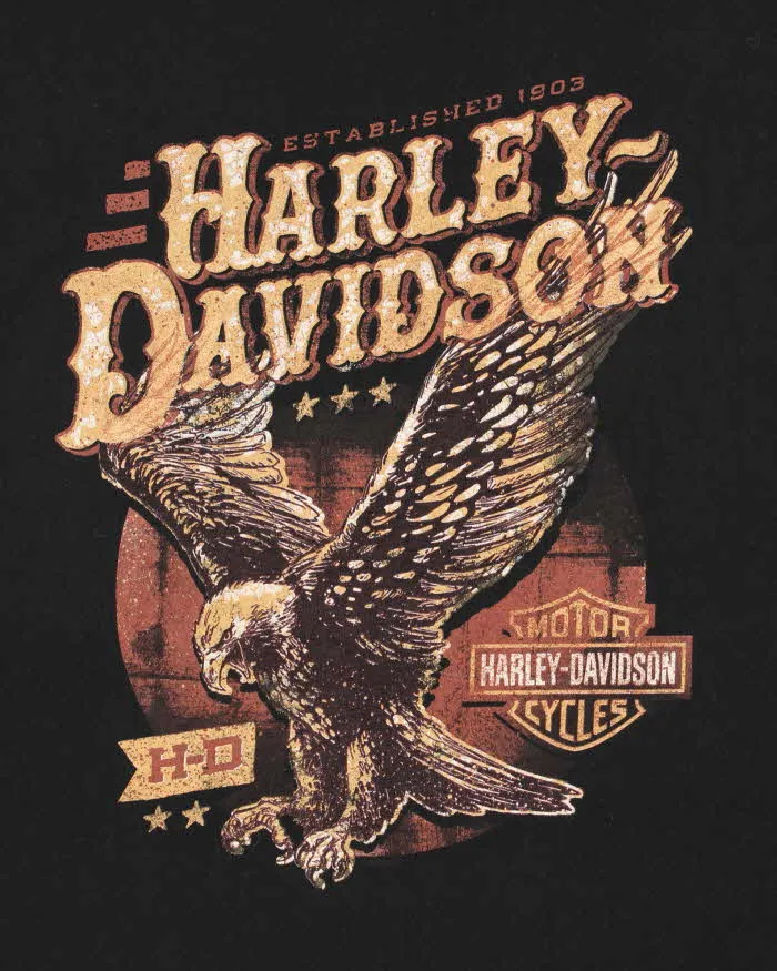 Vintage Harley Davidson New Orleans Louisiana Crewneck T-Shirt - XL sold by Rokit product image thumbnail 4