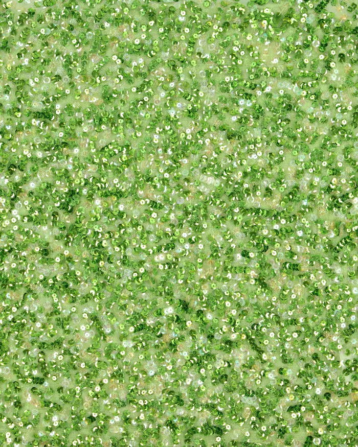 Vintage Y2k 2000s New Vision Mesh Sequin Cami Top - M sold by Rokit product image thumbnail 4