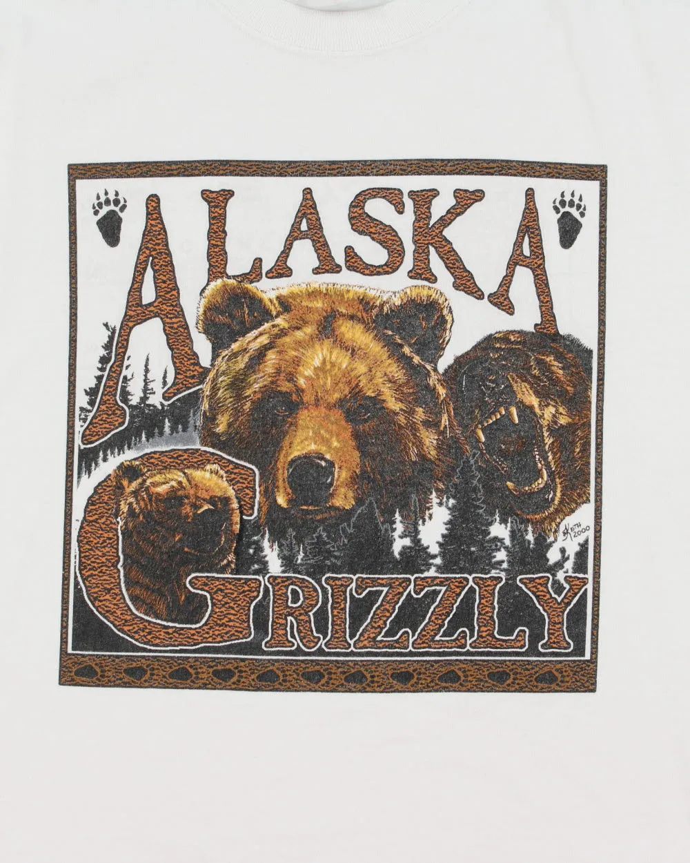 Vintage Y2K 00s Alaska Grizzly Bear Heavyweight Jerzees Crewneck T-Shirt - M sold by Rokit product image thumbnail 4