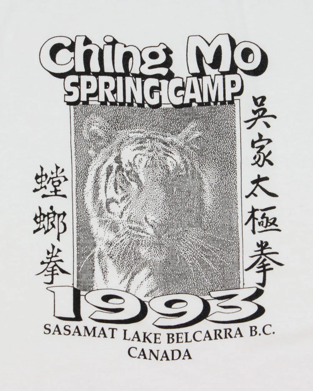 Vintage 1993 Ching Mo Summer Camp Sasamat Lake Heavyweight Made In Canada Single Stitch Crewneck T-Shirt - L sold by Rokit product image thumbnail 4