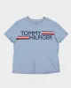 Tommy Hilfiger Blue T-Shirt - L sold by Rokit