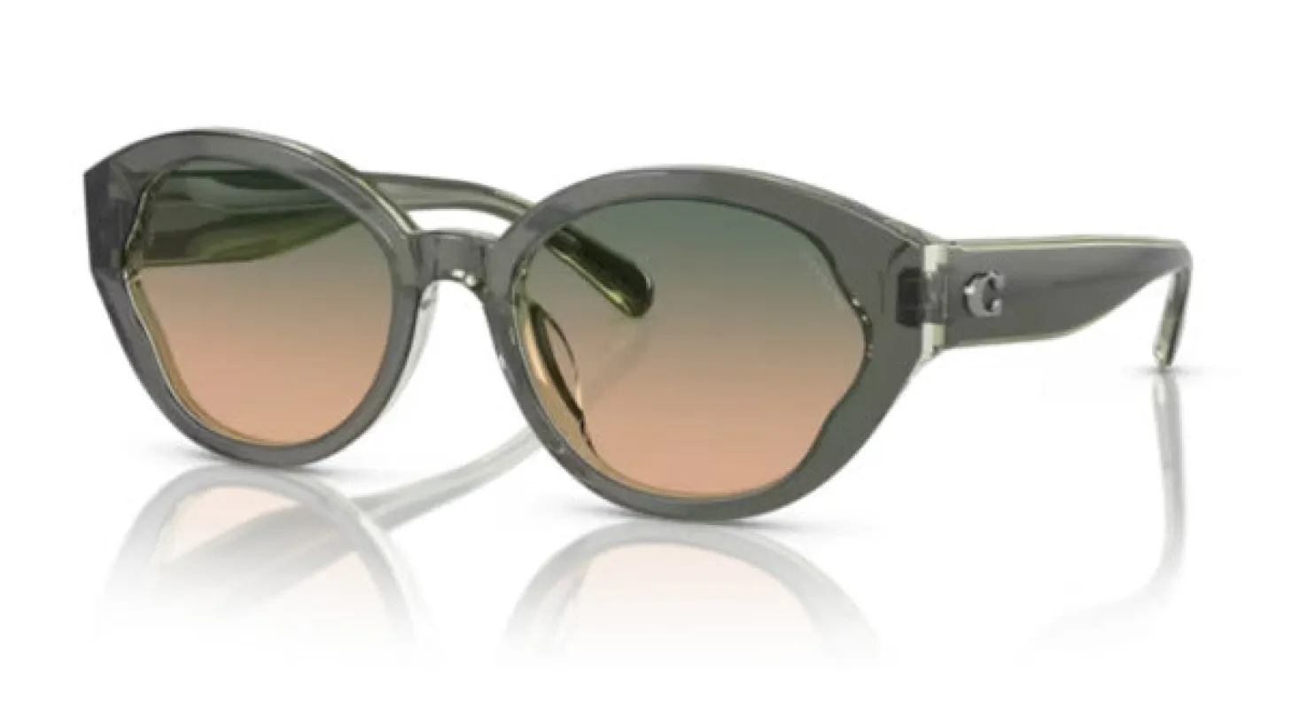 Coach Women's 55mm Moss Mint Sunglasses HC8364U-574613-55 sold by Ruumur