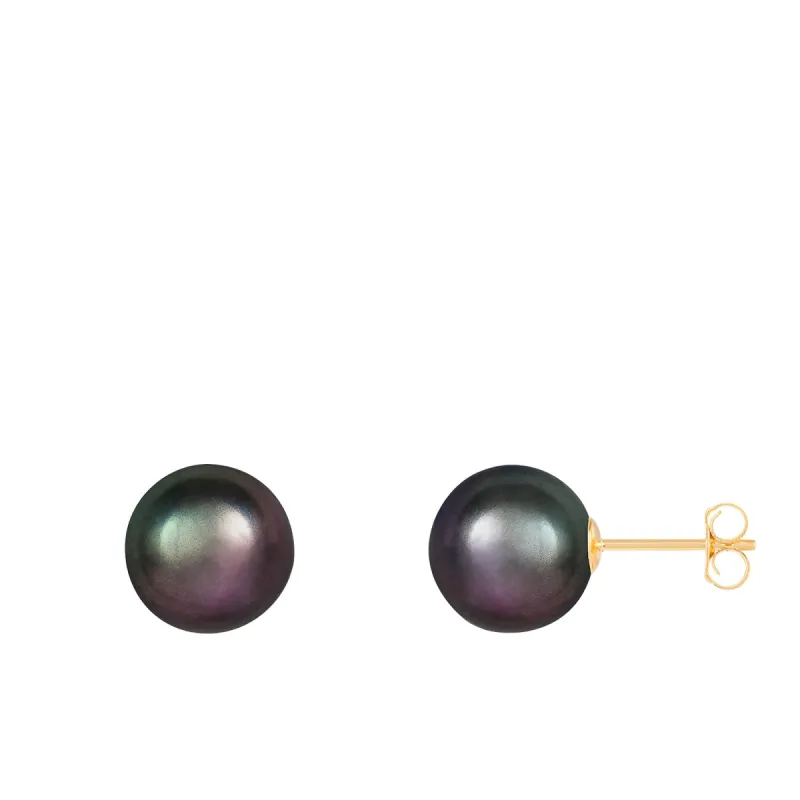 Splendid Pearls 9mm Pearl Stud Earrings sold by Ruumur