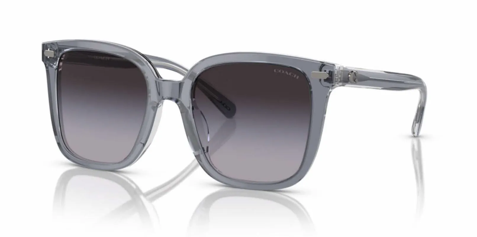 Coach Women's 54mm Grey Sunglasses HC8381U-57808G-54 sold by Ruumur