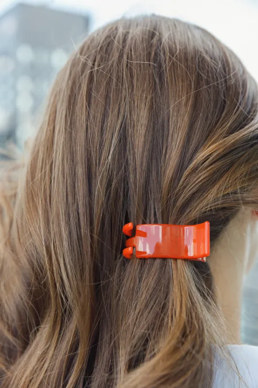 CLASSIC SHINY PONY CLIP BUNDLE OF 10 PCS sold by Ruumur