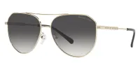 Michael Kors Women's 60mm Light Gold Sunglasses MK1109-10148G-60 sold by Ruumur