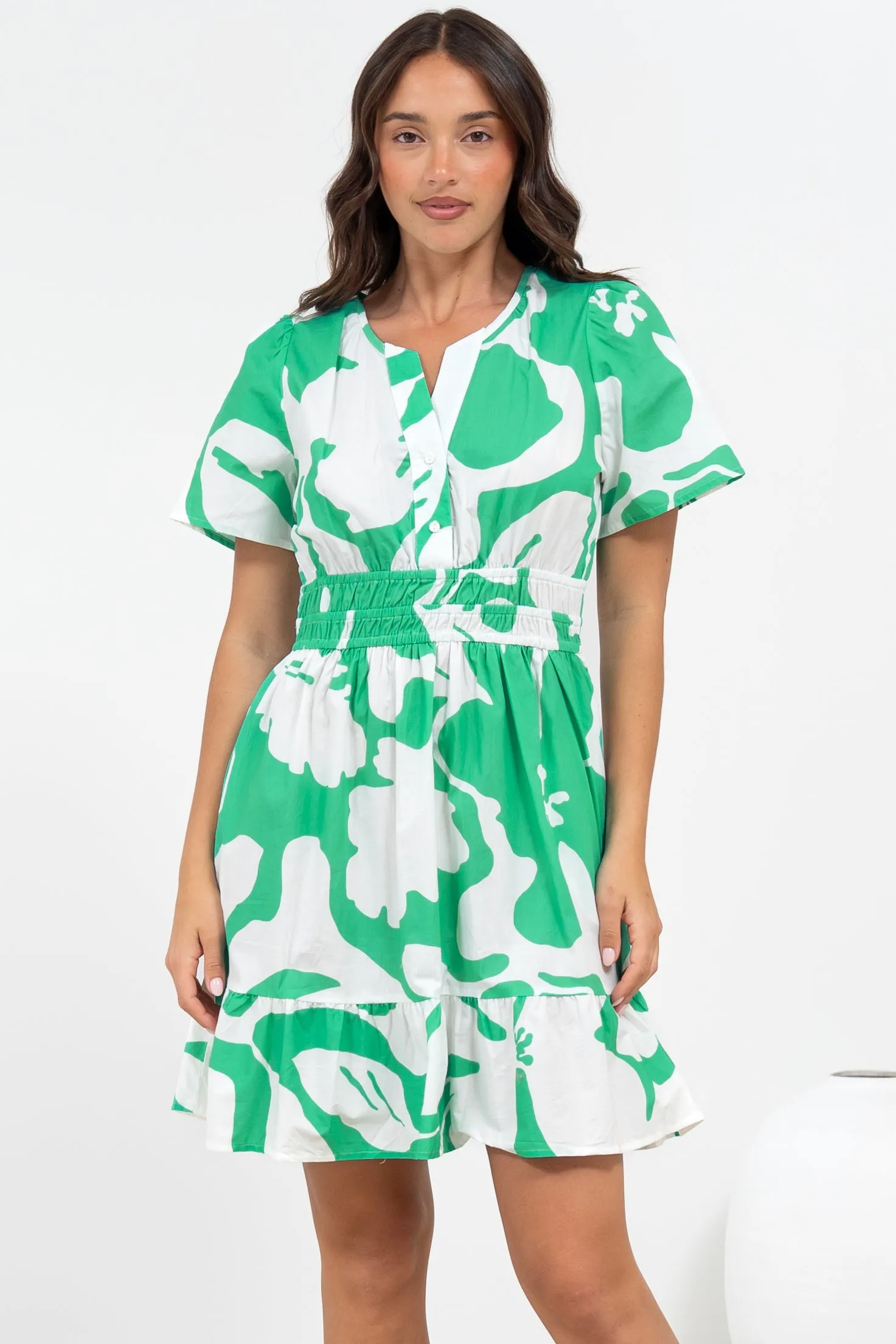 Larosa Mini Dress - Stand Collar A-Line Dress with Buttoned Bodice in Sloane Print Green sold by Salty Crush product image thumbnail 3