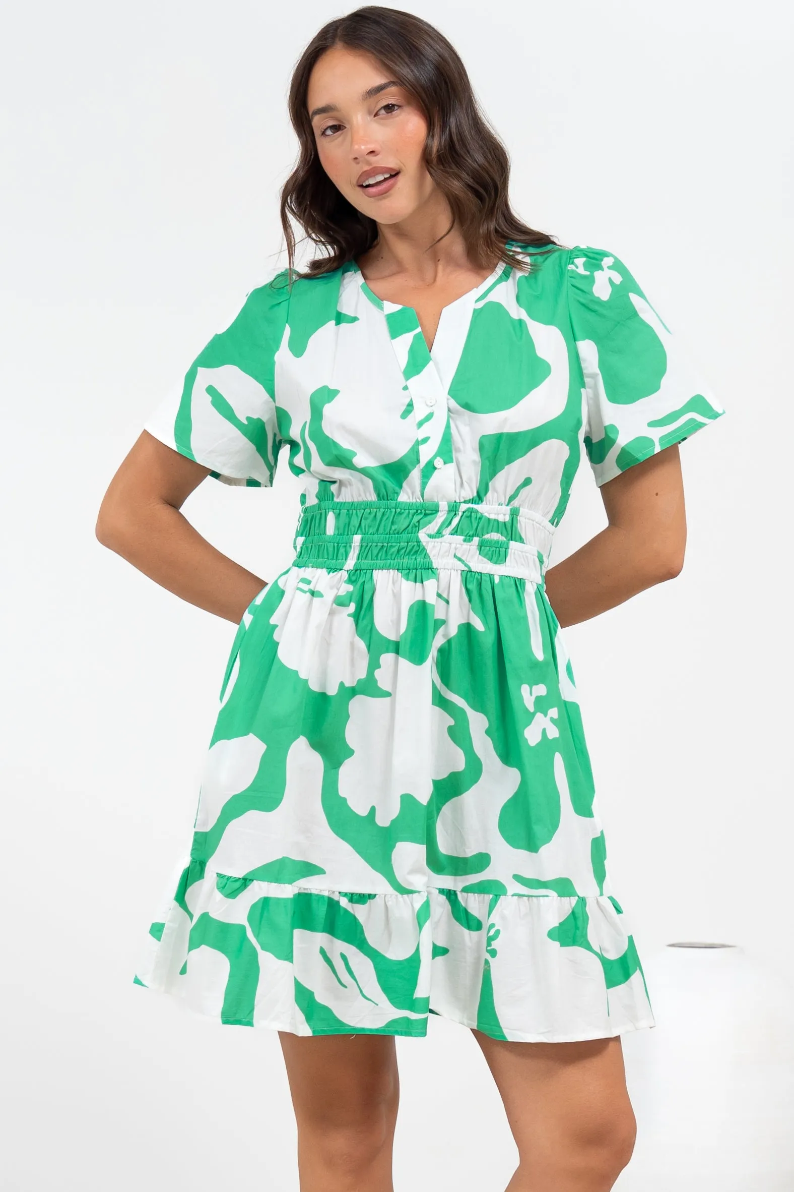 Larosa Mini Dress - Stand Collar A-Line Dress with Buttoned Bodice in Sloane Print Green sold by Salty Crush product image thumbnail 4