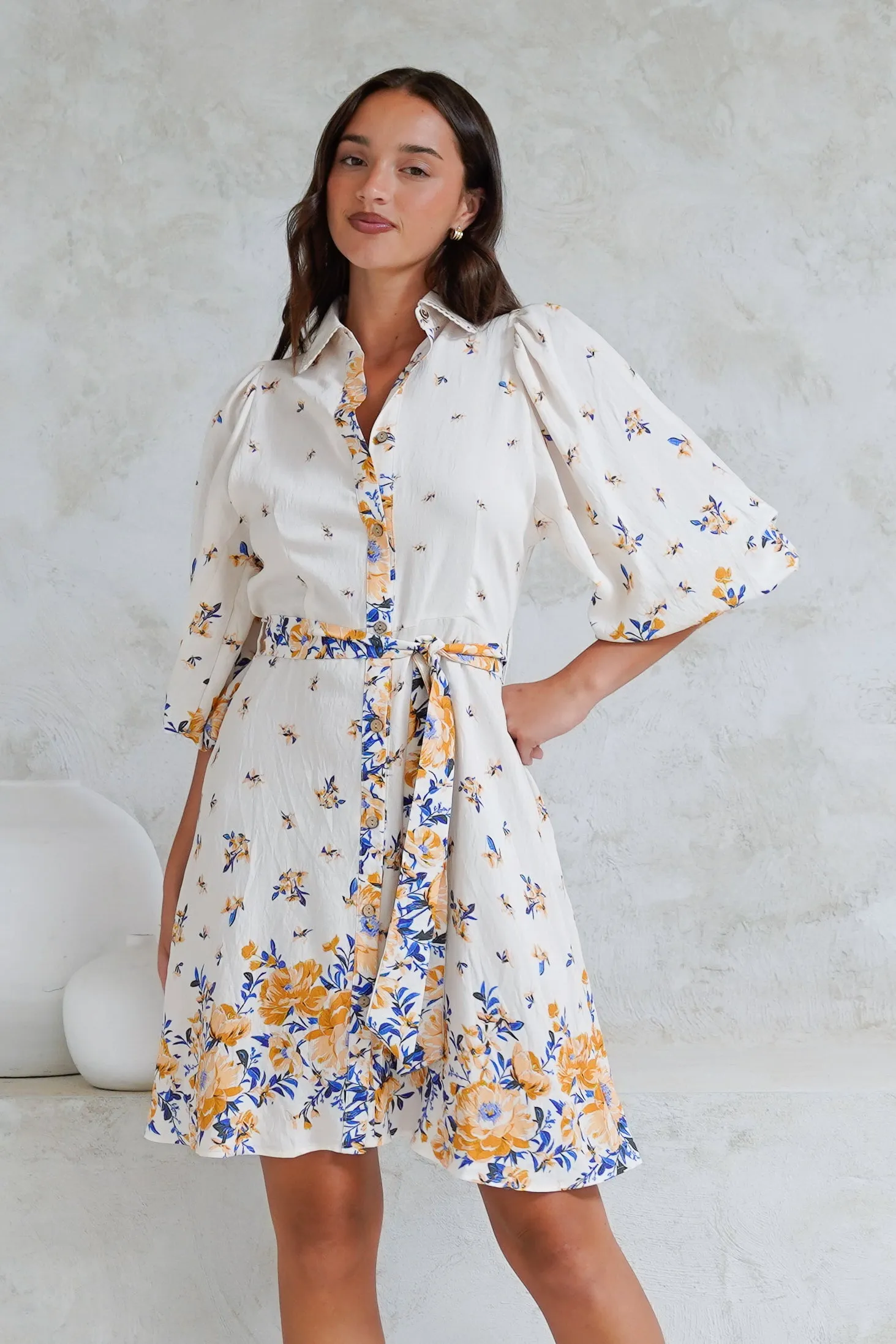 Francine Mini Dress - Collared Shirt Dress with Matching Belt in Huxton Print Blue sold by Salty Crush product image thumbnail 4