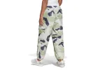 Graphics Camo Nylon Pant sold by Schrittmacher Sneakerhandlung