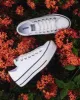 Converse Chuck Taylor All Star Lift Low White sold by Shine On