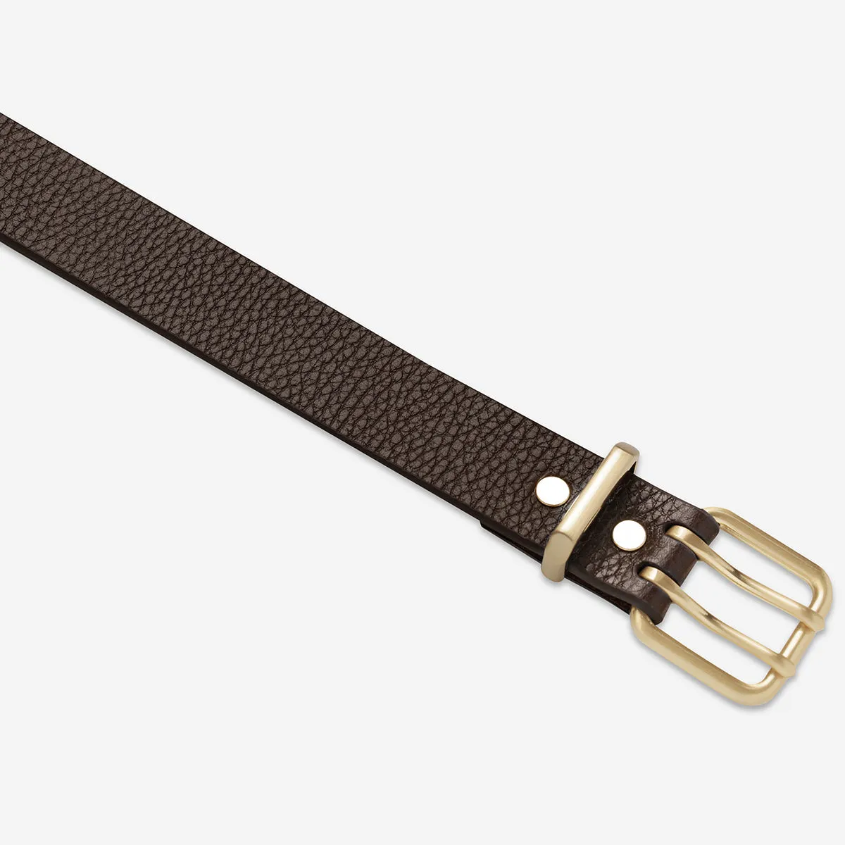 Status Anxiety Barely Moving Belt Chocolate Gold sold by Shine On product image thumbnail 5