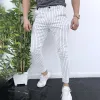 Striped men's casual trousers sold by Shopnova