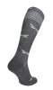 Dragonfly Women Moderate Socks Charcoal Sparkle sold by Sockwell