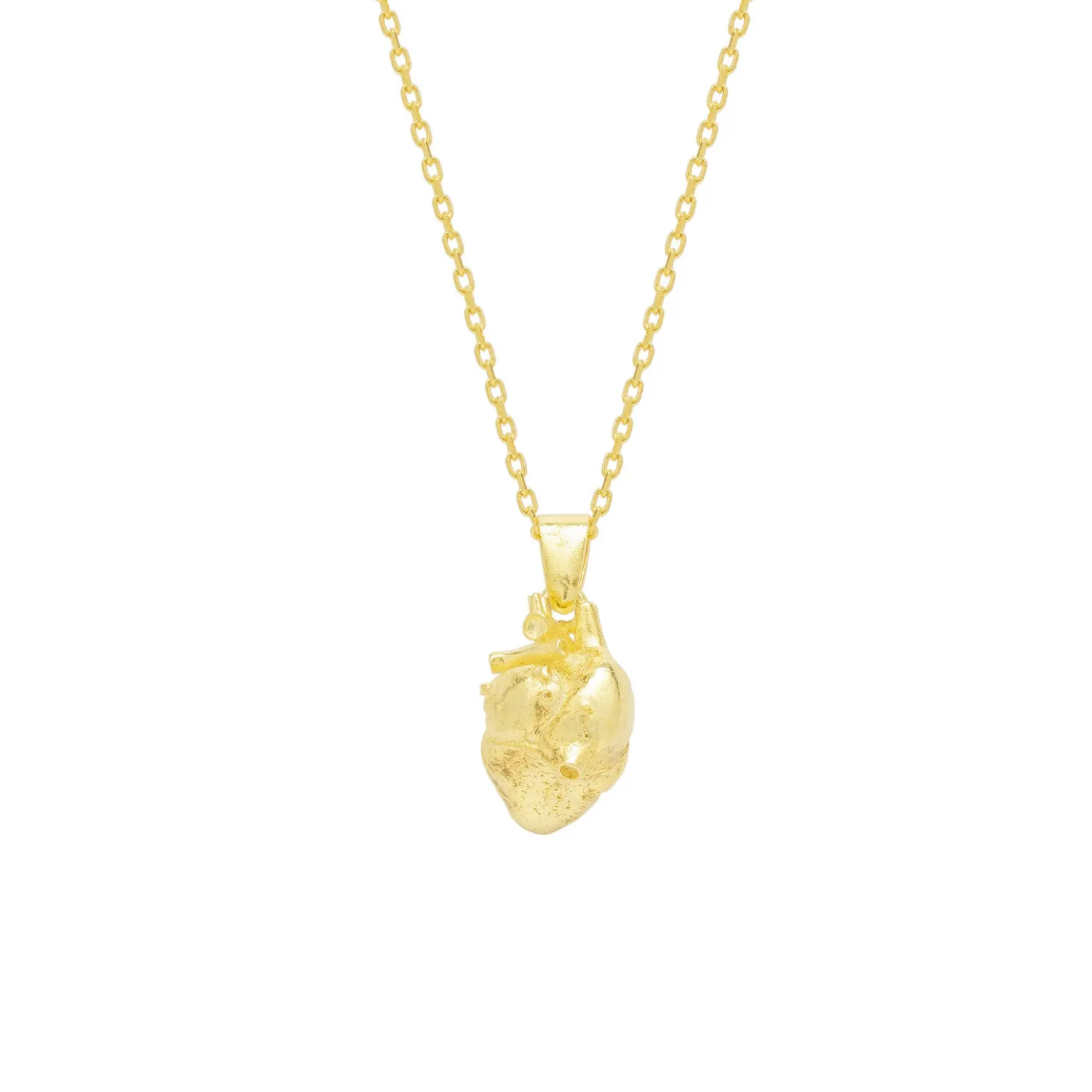 Sterling Silver Anatomical Heart Necklace sold by Spero London