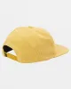 Quiksilver Bluff Shade Trucker Hat - FALL LEAF sold by Sun Diego Boardshops
