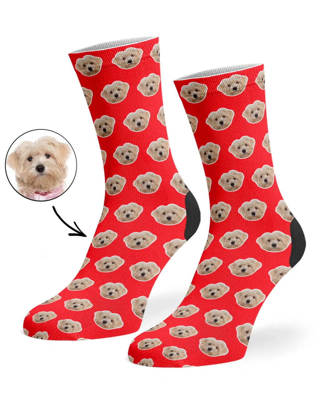 Your Dog Pattern Socks sold by Super Socks product image thumbnail 3