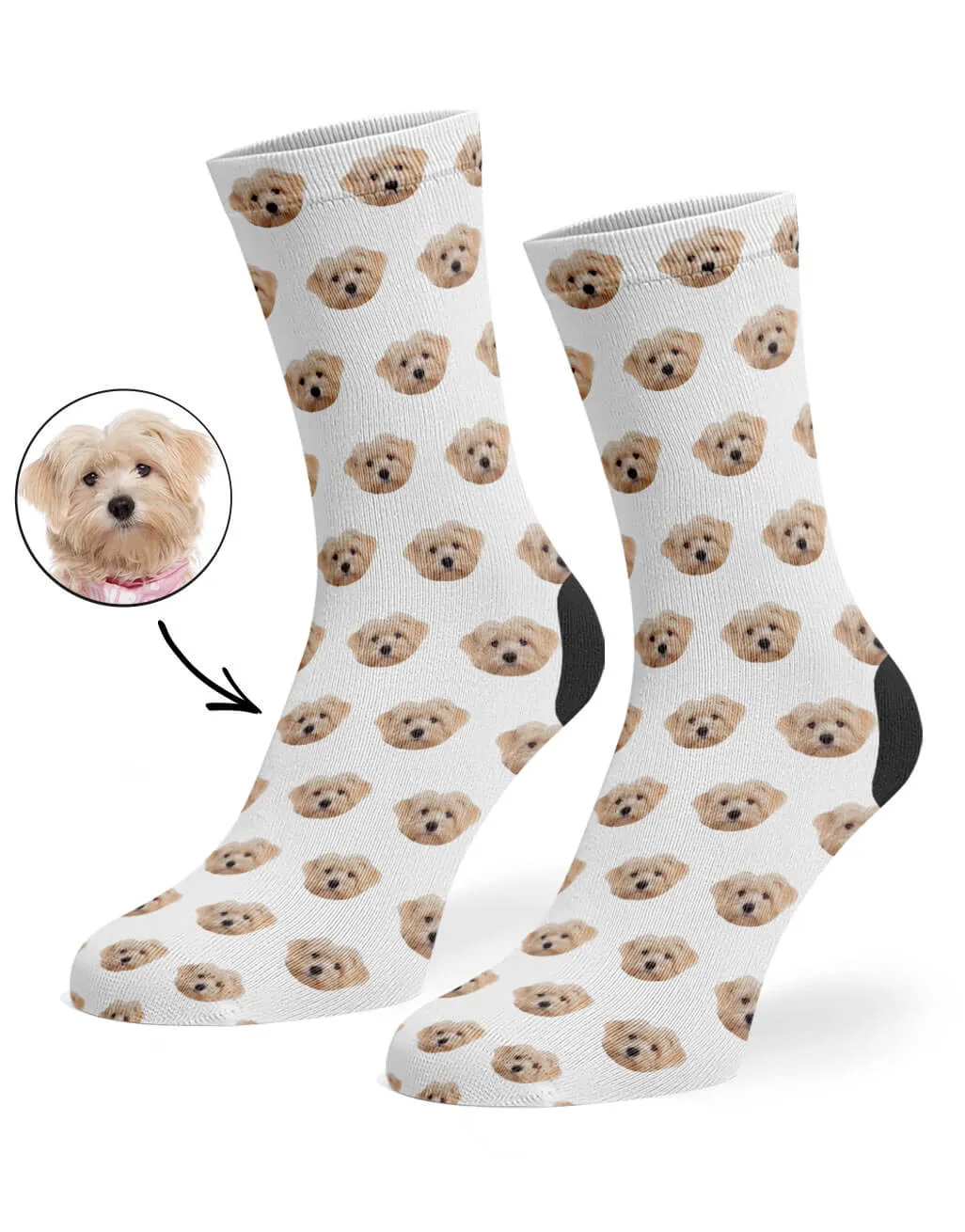 Your Dog Pattern Socks sold by Super Socks product image thumbnail 4