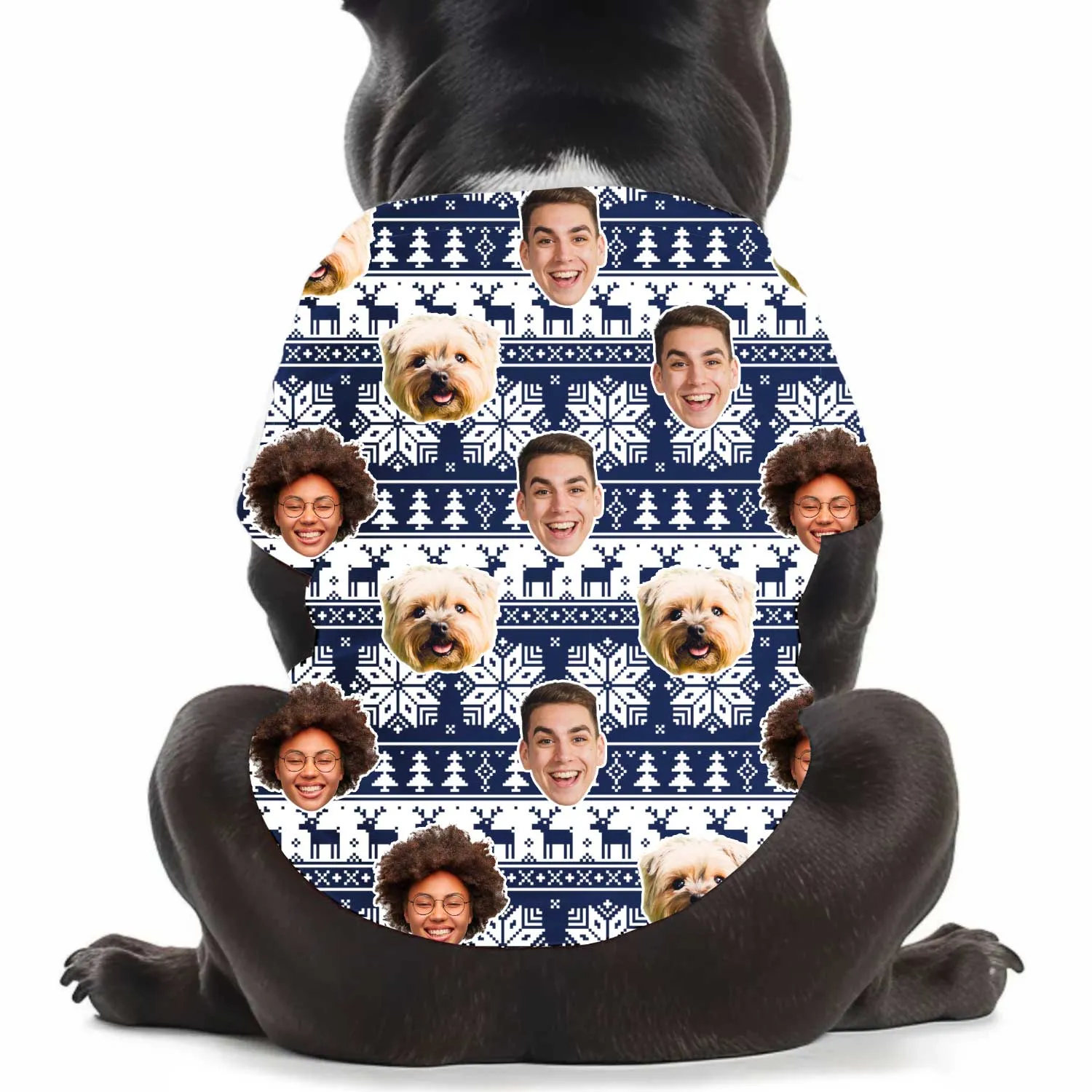 Family Faces Nordic Christmas Personalised Dog T Shirt sold by Super Socks product image thumbnail 2