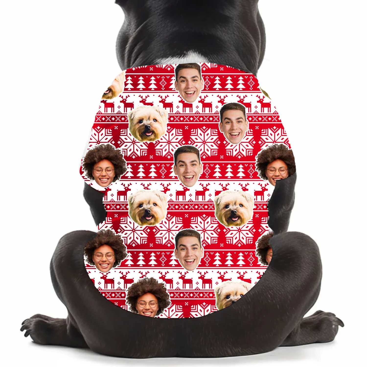 Family Faces Nordic Christmas Personalised Dog T Shirt sold by Super Socks product image thumbnail 3