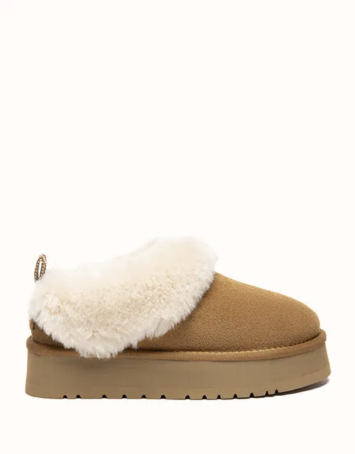AUSTRALIAN SHEPHERD® Glacial Slippers sold by The UGG Shop