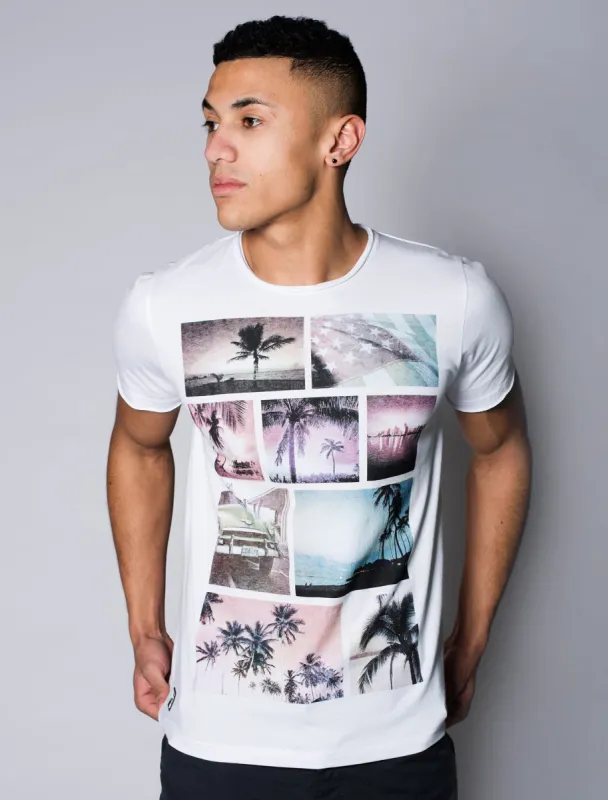 Faded Palm Tree T-Shirt in White - Dissident sold by Tokyo Laundry