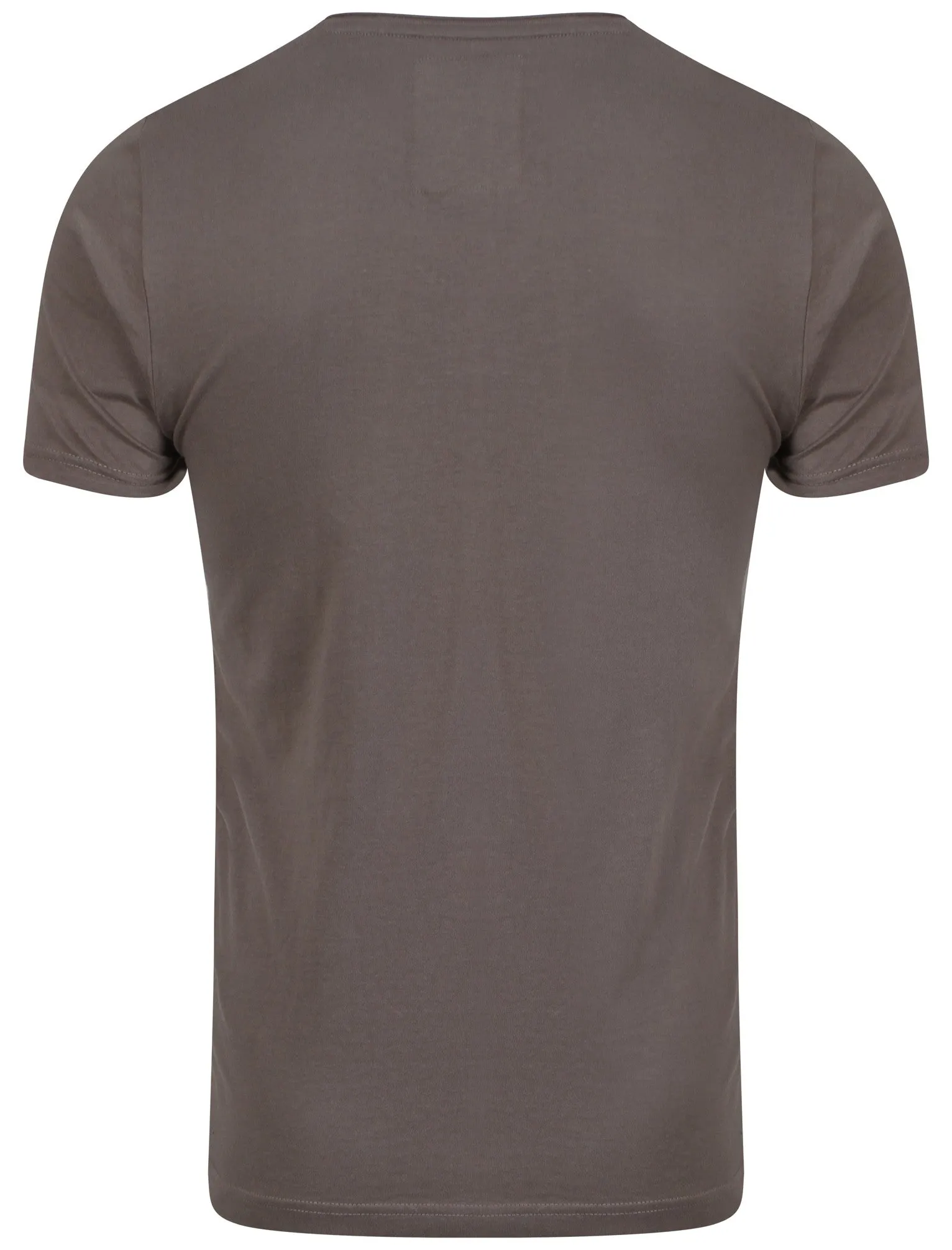 Faded Palm Tree T-Shirt in Grey - Dissident sold by Tokyo Laundry product image thumbnail 2