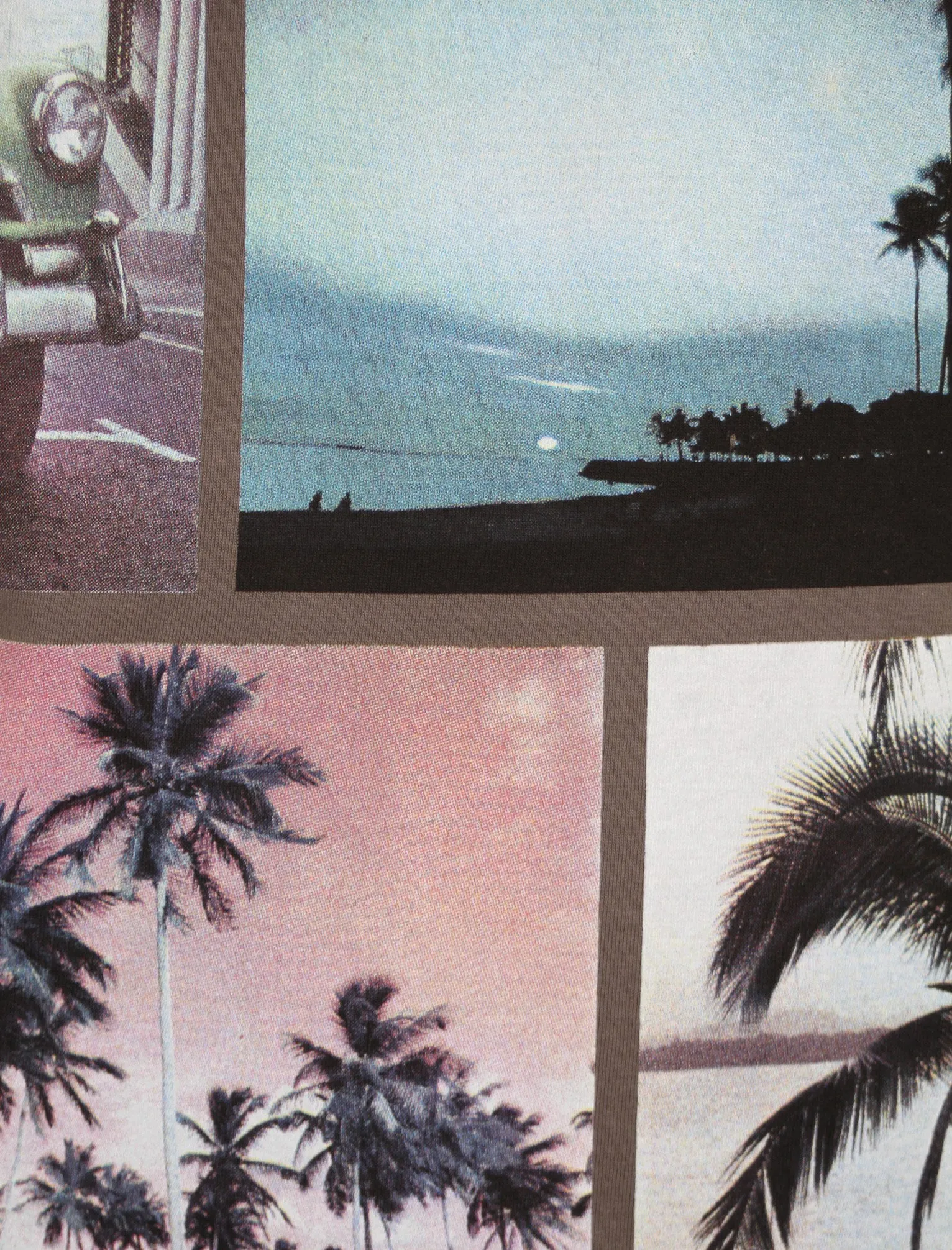 Faded Palm Tree T-Shirt in Grey - Dissident sold by Tokyo Laundry product image thumbnail 3