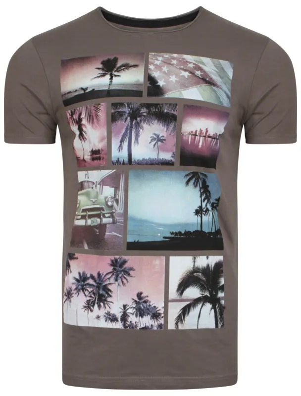 Faded Palm Tree  T-Shirt in Grey - Dissident sold by Tokyo Laundry
