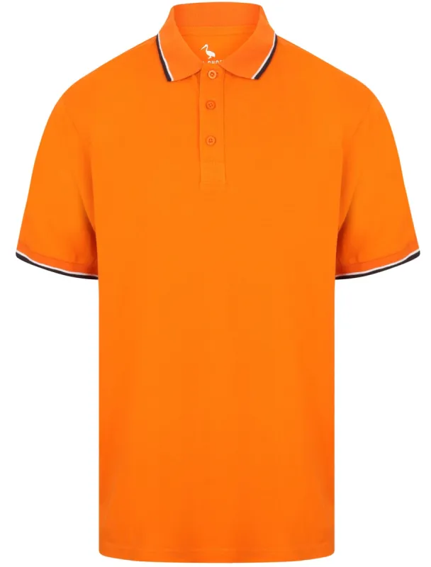 Osten Basic Cotton Pique Polo Shirt With Tipping in Russet Orange - South Shore sold by Tokyo Laundry