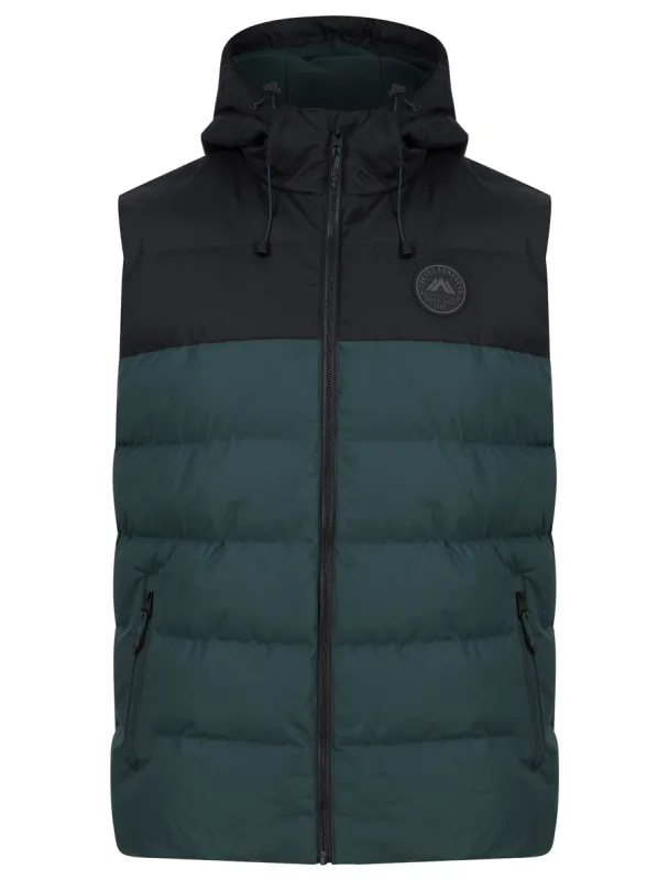 Tarlo Micro-Fleece Lined Hooded Quilted Puffer Gilet in Jet Black - Tokyo Laundry sold by Tokyo Laundry
