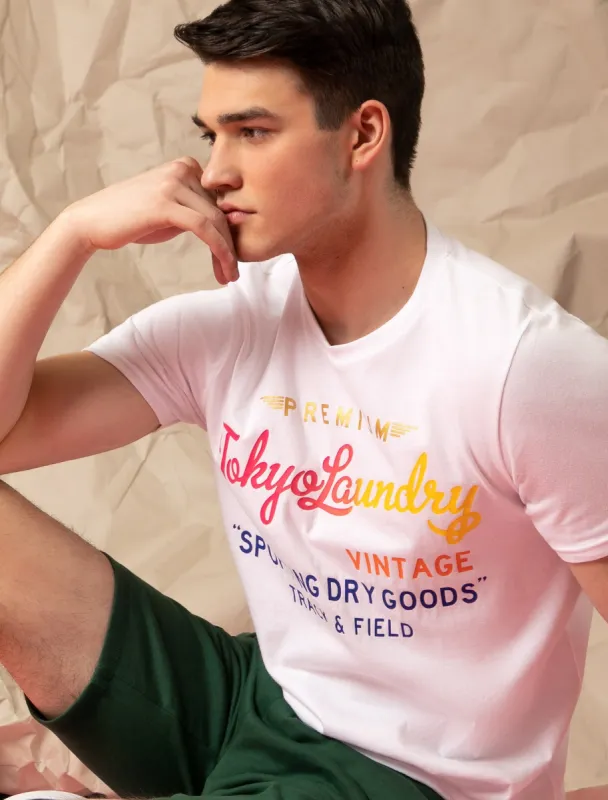 Candyshop Ombre Motif Cotton Jersey T-Shirt In Bright White - Tokyo Laundry sold by Tokyo Laundry