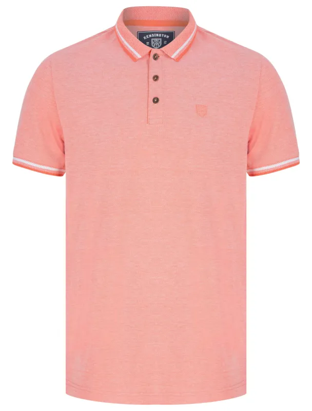 Primus Cotton Birdseye Pique Polo Shirt In Coral - Kensington Eastside sold by Tokyo Laundry