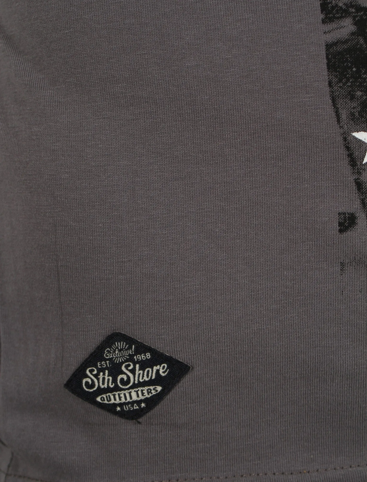 American Spirit Print T-Shirt in Graphite Grey - South Shore sold by Tokyo Laundry product image thumbnail 3