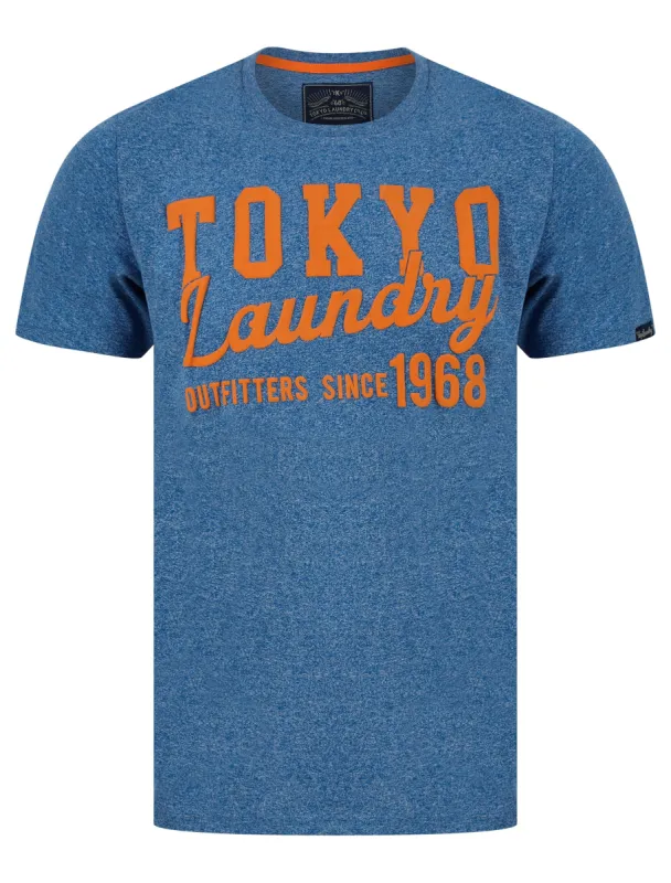Underline Motif Cotton Jersey Grindle T-Shirt in Light Blue - Tokyo Laundry sold by Tokyo Laundry