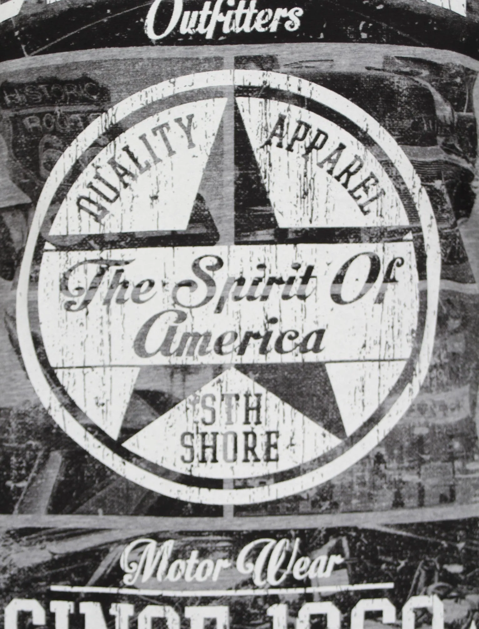 American Spirit Print T-Shirt in Light Grey - South Shore sold by Tokyo Laundry product image thumbnail 3
