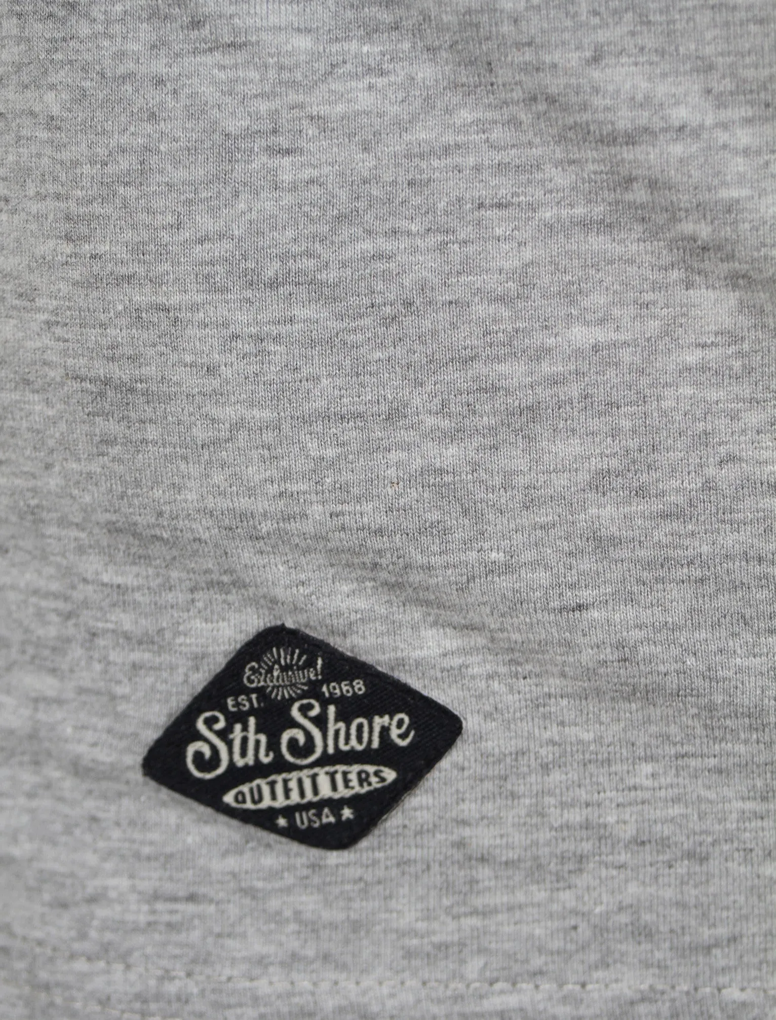 American Spirit Print T-Shirt in Light Grey - South Shore sold by Tokyo Laundry product image thumbnail 4