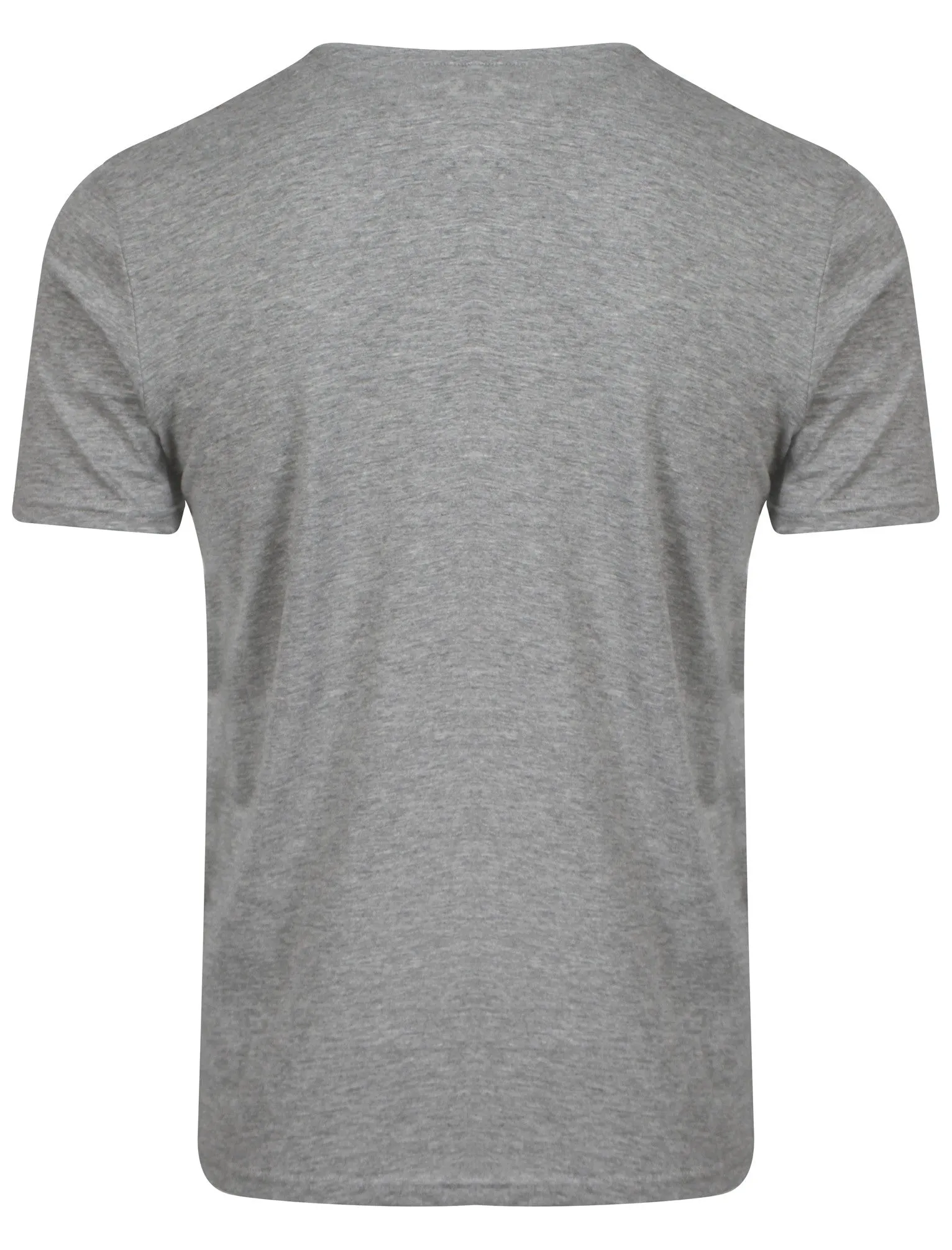 American Spirit Print T-Shirt in Light Grey - South Shore sold by Tokyo Laundry product image thumbnail 2