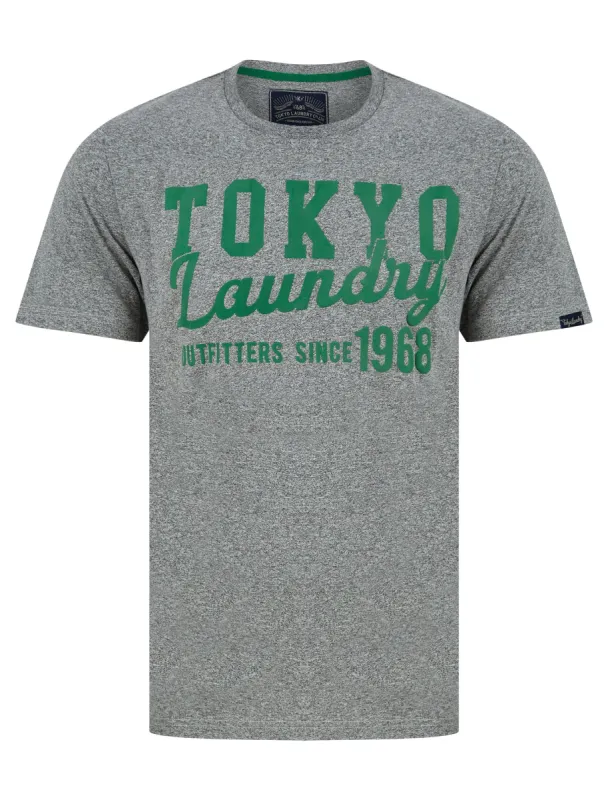 Underline Motif Cotton Jersey Grindle T-Shirt in Light Grey - Tokyo Laundry sold by Tokyo Laundry