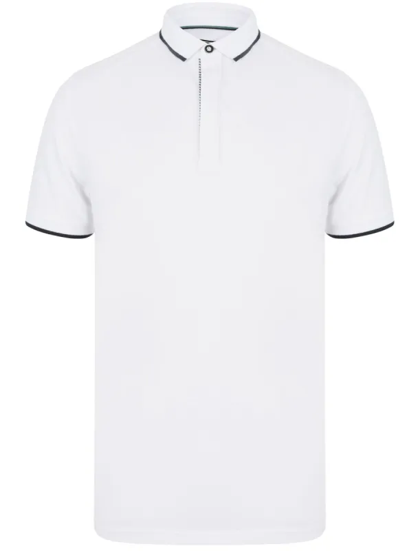 Stable Cotton Pique Polo Shirt with Tipping in Bright White - Kensington Eastside sold by Tokyo Laundry