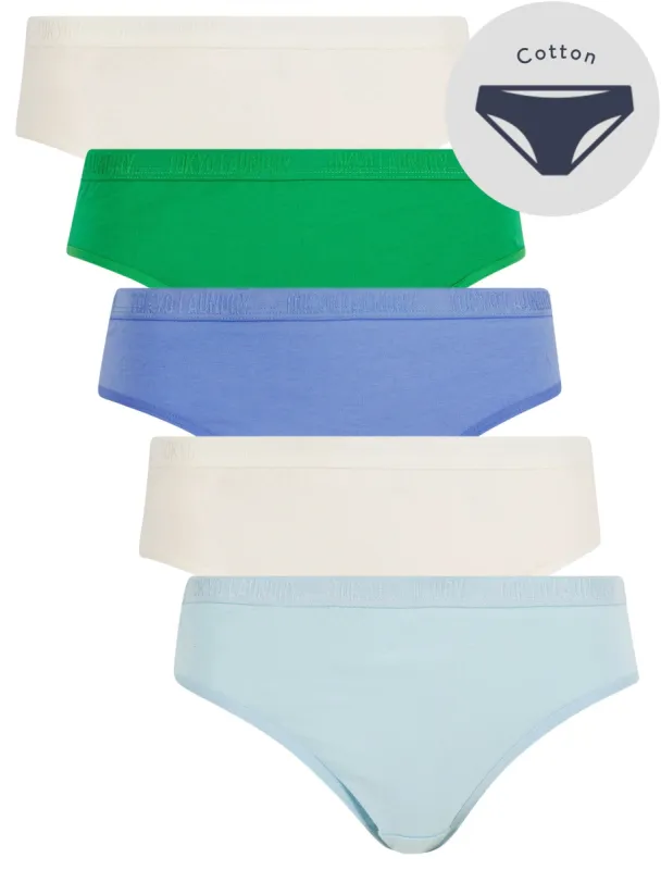 Nala (5 Pack) Cotton Assorted Briefs in Clear Sky / Jet Stream / Persian Jewel / Fern Green - Tokyo Laundry sold by Tokyo Laundry