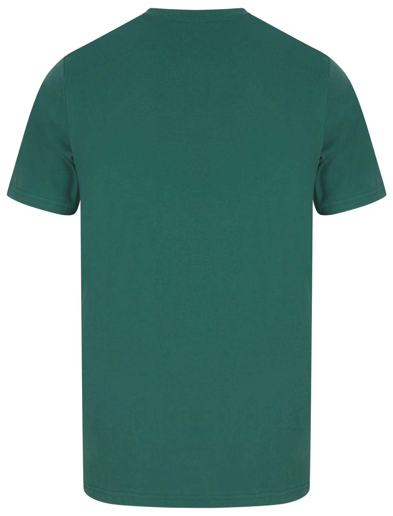 Dakota Wild Wings Motif Cotton Jersey T-Shirt in Mallard Green - South Shore sold by Tokyo Laundry product image thumbnail 2