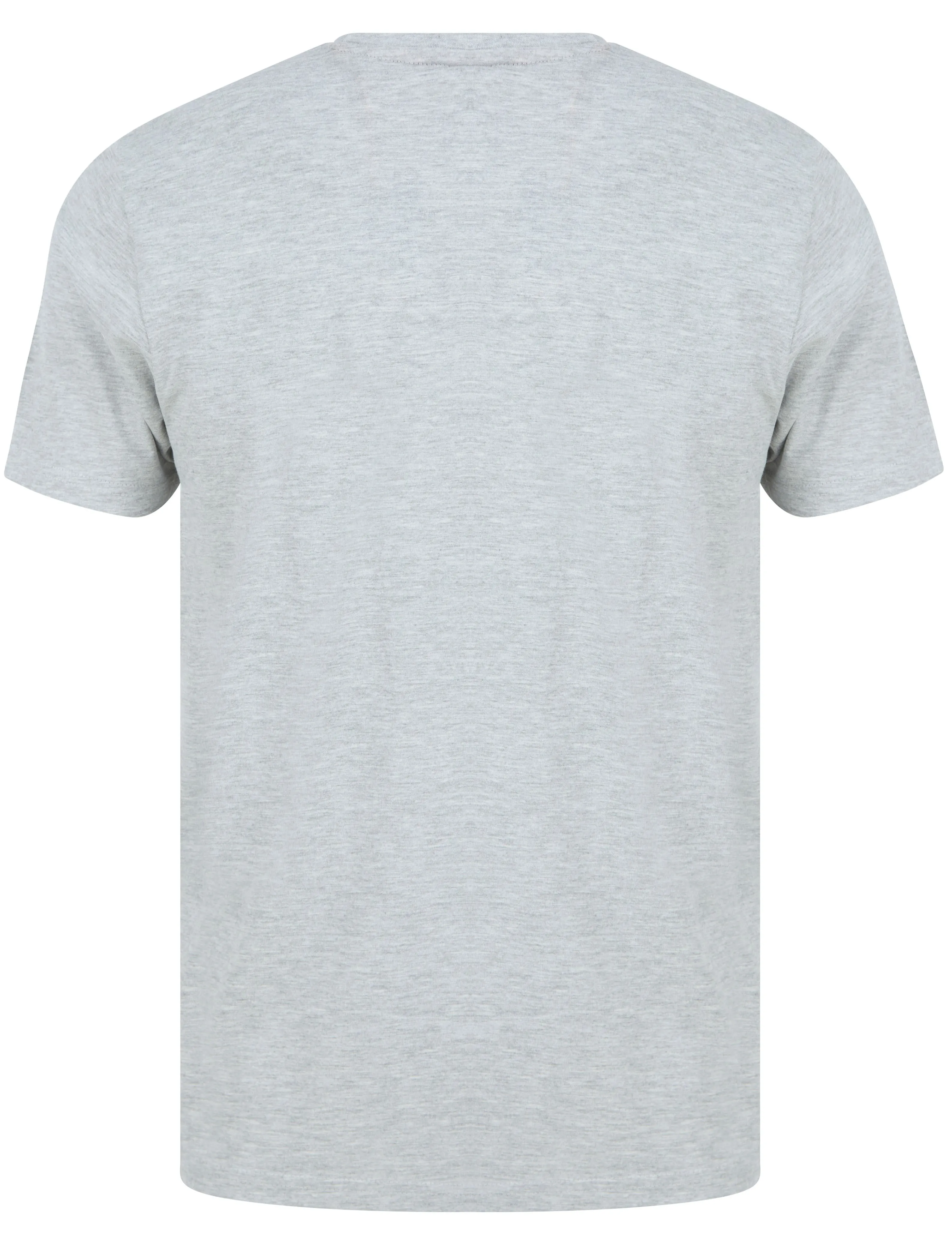 Honolulu Motif Cotton Jersey T-Shirt in Light Grey Marl - South Shore sold by Tokyo Laundry product image thumbnail 2