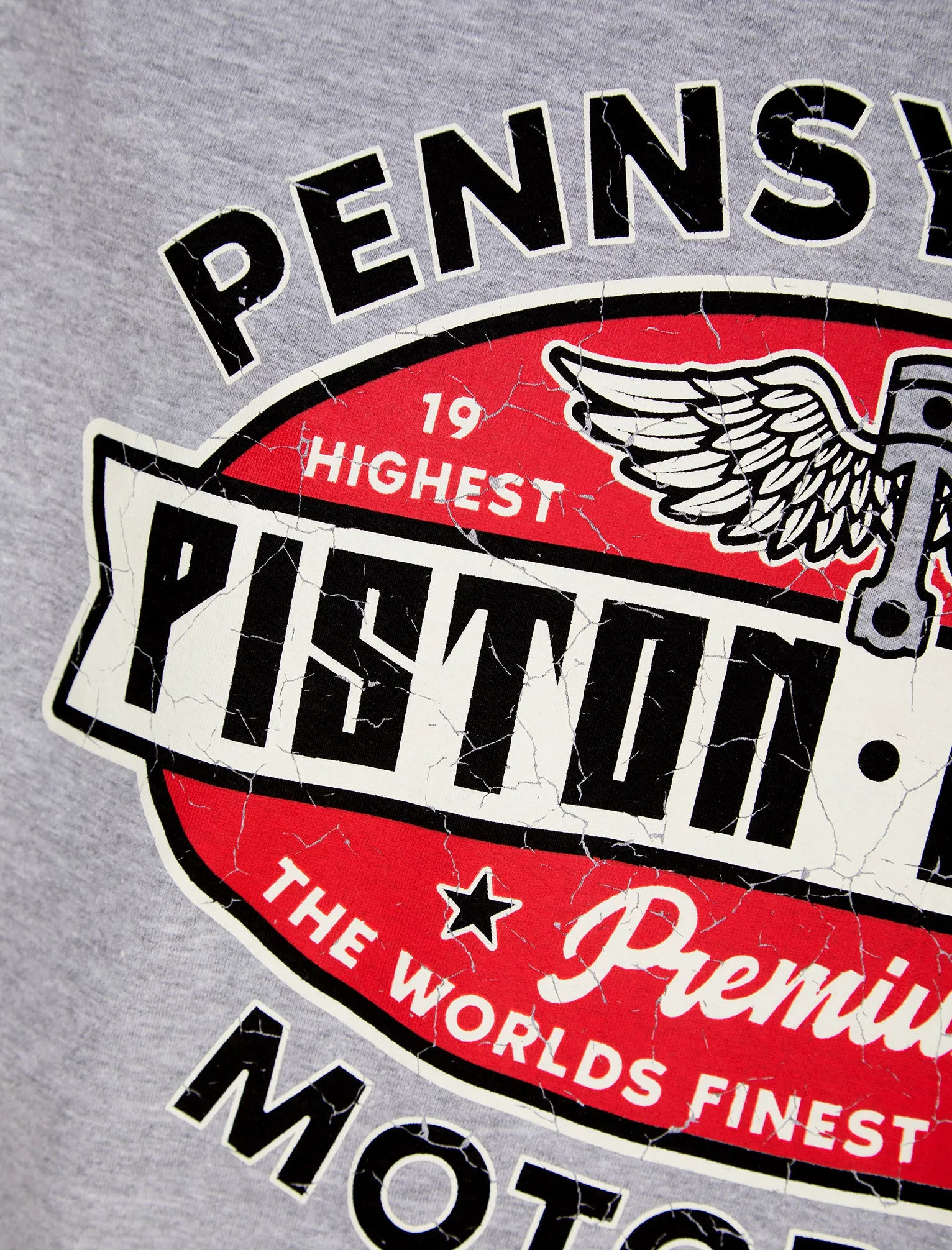 Nashville Wings Motif Cotton Jersey T-Shirt in Light Grey Marl - South Shore sold by Tokyo Laundry product image thumbnail 3