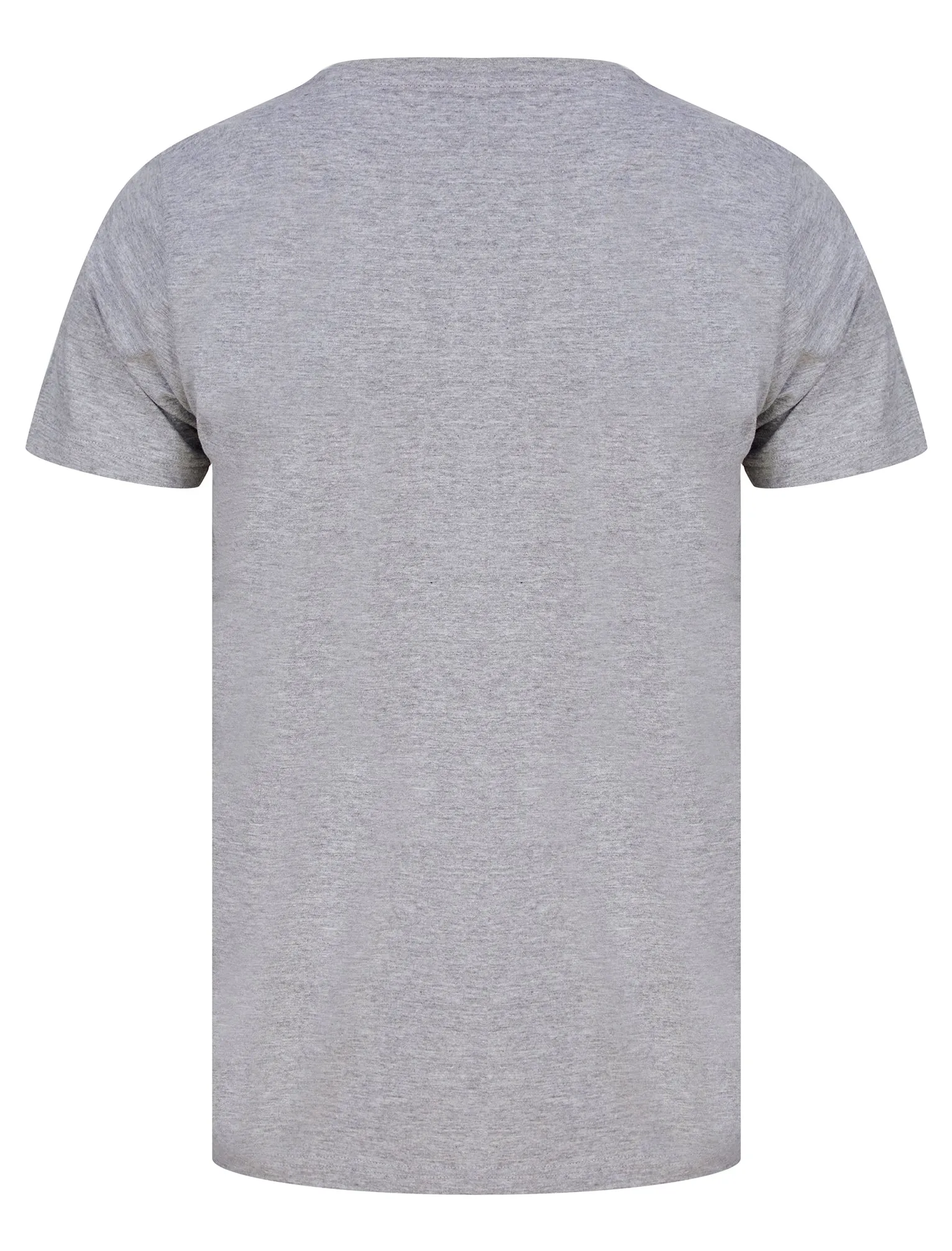 Nashville Wings Motif Cotton Jersey T-Shirt in Light Grey Marl - South Shore sold by Tokyo Laundry product image thumbnail 2
